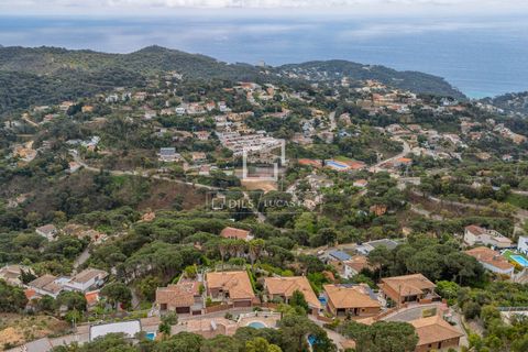 Villa i Lloret De Mar, Gerona, Lloret De Mar - € 795.000 | Ref: CBR68857 - foto 42