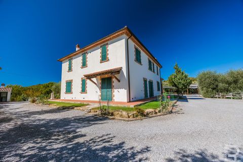 Farm hus i Scansano, Grosseto, Scansano - € 2.300.000 | Ref: R06752SCAG - foto 26