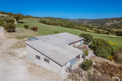 Farm hus i Scansano, Grosseto, Scansano - € 2.300.000 | Ref: R06752SCAG - foto 11