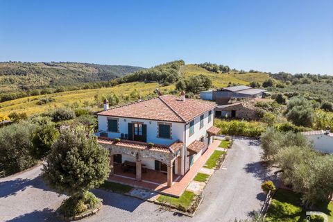 Farm hus i Scansano, Grosseto, Scansano - € 2.300.000 | Ref: R06752SCAG - foto 5