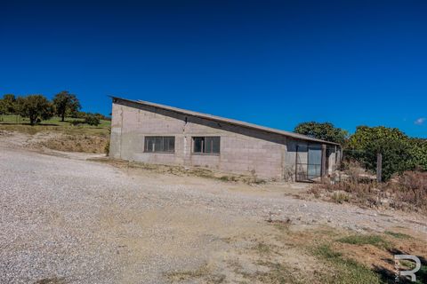 Farm hus i Scansano, Grosseto, Scansano - € 2.300.000 | Ref: R06752SCAG - foto 33