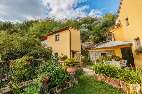 Landejendom i Lamporecchio, Pistoia, Lamporecchio - € 640.000 | Ref: R06715LACA - foto 7