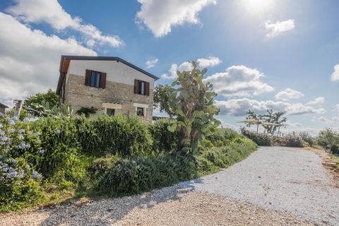 Farm hus i Suvereto, Livorno, Suvereto - € 2.500.000 | Ref: R06687AGSU - foto 16