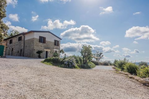Farm hus i Suvereto, Livorno, Suvereto - € 2.500.000 | Ref: R06687AGSU - foto 12