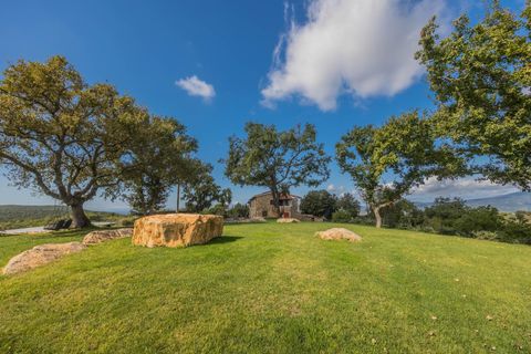 Farm hus i Suvereto, Livorno, Suvereto - € 2.500.000 | Ref: R06687AGSU - foto 9