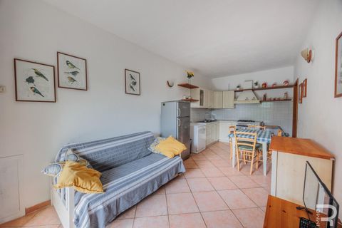 Farm hus i Santa Luce, Pisa, Santa Luce - € 1.380.000 | Ref: R06685SAAG - foto 37