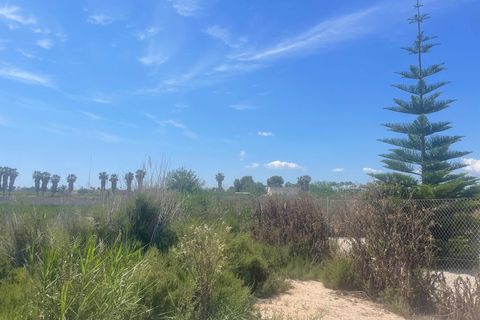 Tomt i Catral, Alicante, Catral - € 93 000 | Ref: JLM5429 - foto 6