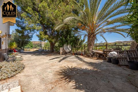 Cortijo i Cantoria, Almeria, Cantoria - € 320.000 | Ref: CAN4C04 - foto 13