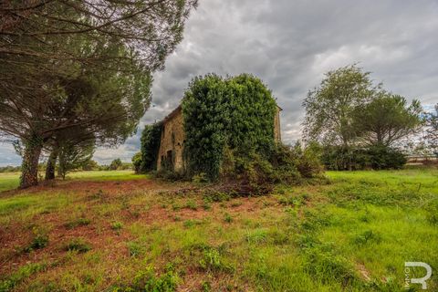 Landejendom i Cortona, Arezzo, Cortona - € 325.000 | Ref: R06672RUCO - foto 17