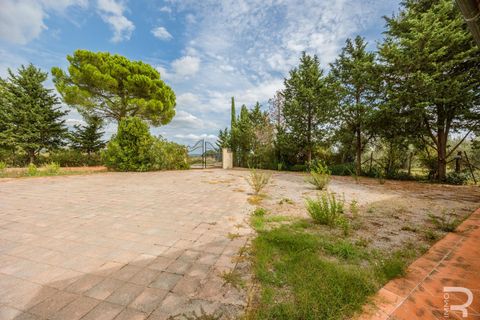 Landejendom i Scansano, Grosseto, Scansano - € 400.000 | Ref: R06667SCCA - foto 23