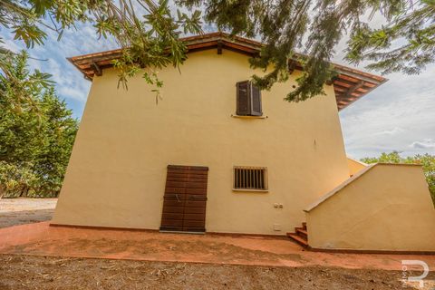 Landejendom i Scansano, Grosseto, Scansano - € 400.000 | Ref: R06667SCCA - foto 15