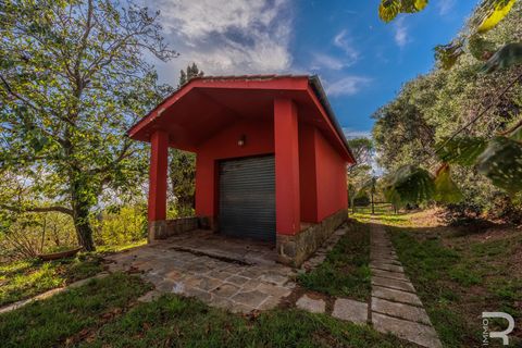Herregård i Uzzano, Pistoia, Uzzano - € 499 000 | Ref: R06647UZCA - foto 20