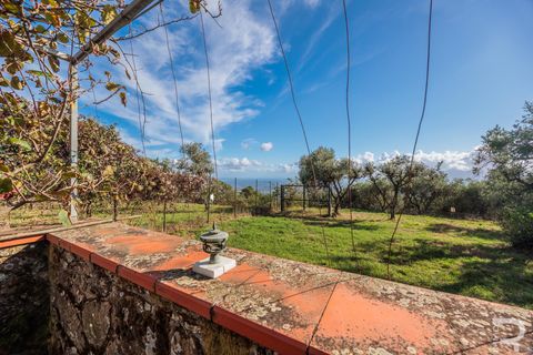 Herregård i Uzzano, Pistoia, Uzzano - € 499 000 | Ref: R06647UZCA - foto 9