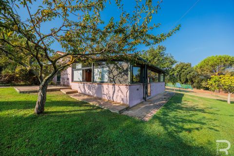 Farm hus i Bibbona, Livorno, Bibbona - € 1.750.000 | Ref: R06615BIAG - foto 10