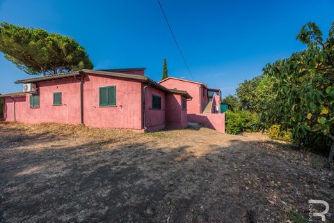 Farm hus i Bibbona, Livorno, Bibbona - € 1.750.000 | Ref: R06615BIAG - foto 14