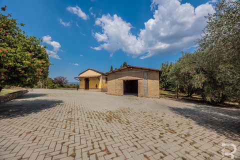 Gårdshus i Cortona, Arezzo, Cortona - € 2 500 000 | Ref: R06609COAG - foto 12