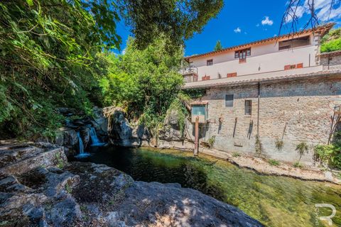 Landejendom i Loro Ciuffenna, Arezzo, Loro Ciuffenna - € 3.300.000 | Ref: R06572LOCA - foto 25
