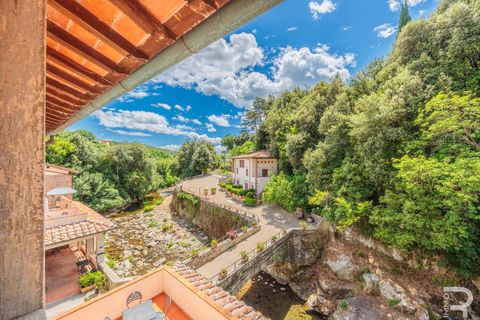 Landejendom i Loro Ciuffenna, Arezzo, Loro Ciuffenna - € 3.300.000 | Ref: R06572LOCA - foto 39