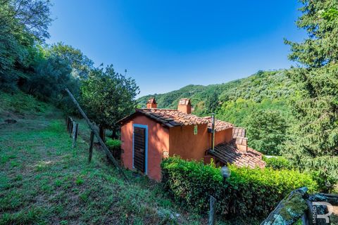 Landejendom i Pescia, Pistoia, Pescia - € 570.000 | Ref: R06575PECA - foto 26