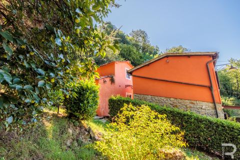 Landejendom i Pescia, Pistoia, Pescia - € 570.000 | Ref: R06575PECA - foto 19