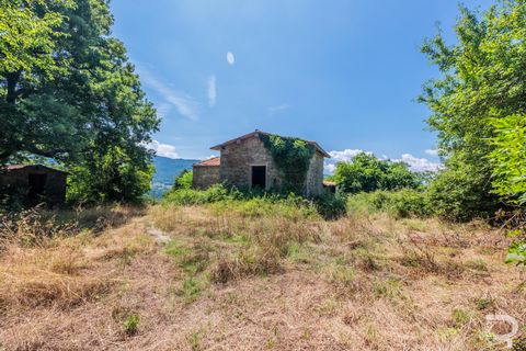 Landejendom i Bibbiena, Arezzo, Bibbiena - € 190.000 | Ref: R06555BIRU - foto 3