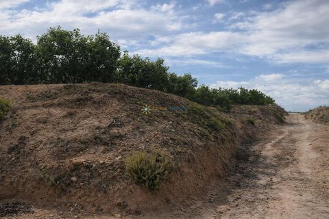 Landejendom i Beniganim, Valencia, Beniganim - € 88.000 | Ref: PNVL2078 - foto 15