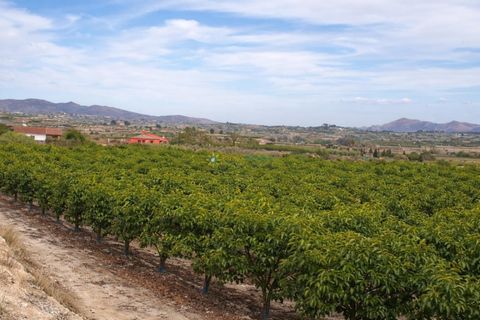Landejendom i Beniganim, Valencia, Beniganim - € 88.000 | Ref: PNVL2078 - foto 14