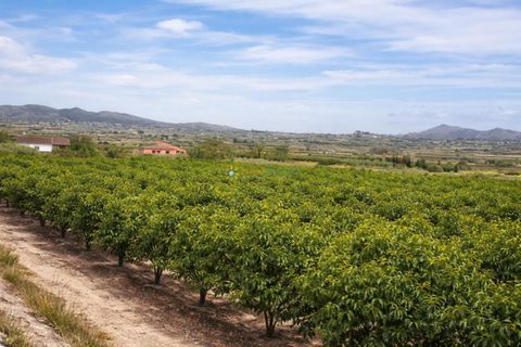 Landejendom i Beniganim, Valencia, Beniganim - € 88.000 | Ref: PNVL2078 - foto 22
