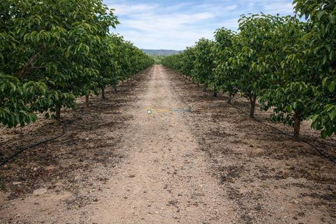Landejendom i Beniganim, Valencia, Beniganim - € 88.000 | Ref: PNVL2078 - foto 21