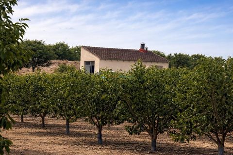 Landejendom i Beniganim, Valencia, Beniganim - € 88.000 | Ref: PNVL2078 - foto 11