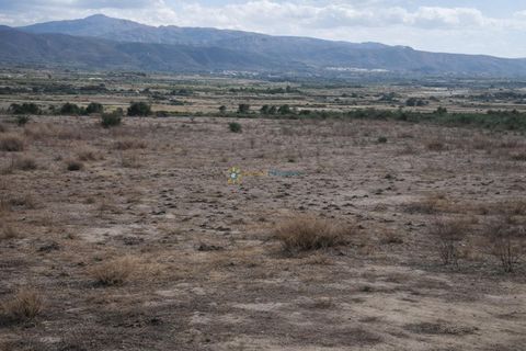 Landejendom i Beniganim, Valencia, Beniganim - € 88.000 | Ref: PNVL2078 - foto 23