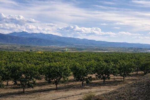 Landejendom i Beniganim, Valencia, Beniganim - € 88.000 | Ref: PNVL2078 - foto 17