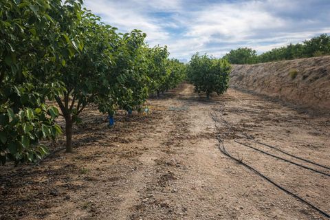 Landejendom i Beniganim, Valencia, Beniganim - € 88.000 | Ref: PNVL2078 - foto 18