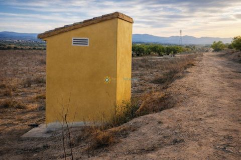 Landejendom i Beniganim, Valencia, Beniganim - € 88.000 | Ref: PNVL2078 - foto 4