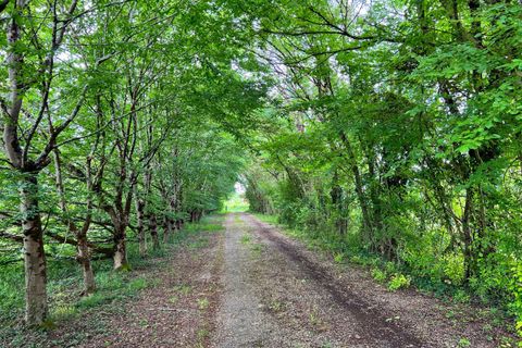 Villa i Libourne, Gironde, Libourne - € 450.000 | Ref: 5930 - foto 18