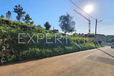 Terra a Coimbra, Coimbra, Coimbra - € 80.000 | Ref: TER_2862_ASOU - foto 7