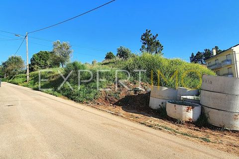 Terra a Coimbra, Coimbra, Coimbra - € 80.000 | Ref: TER_2862_ASOU - foto 9