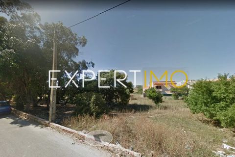 Tomt i Quelfes, Faro, Quelfes - € 2 900 000 | Ref: TER_2928_MRIB - foto 5