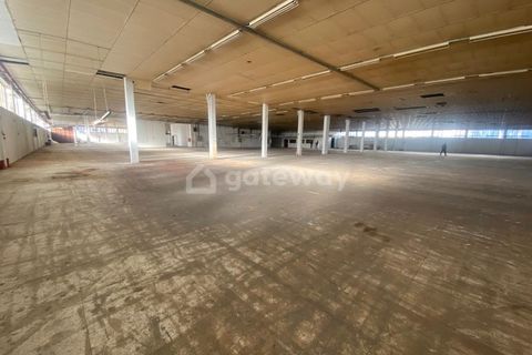 L'establiment comercial a Trofa, Porto, Trofa - € 15.000/mes | Ref: MAG_82 - foto 7