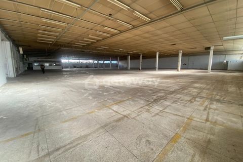 L'establiment comercial a Trofa, Porto, Trofa - € 15.000/mes | Ref: MAG_82 - foto 12