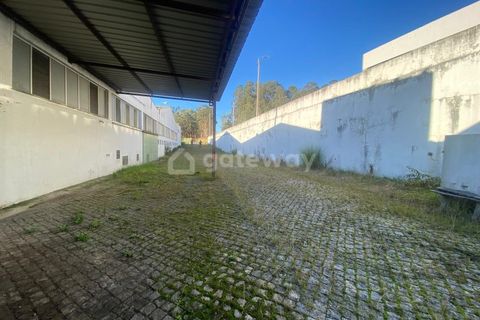 L'establiment comercial a Trofa, Porto, Trofa - € 15.000/mes | Ref: MAG_82 - foto 15