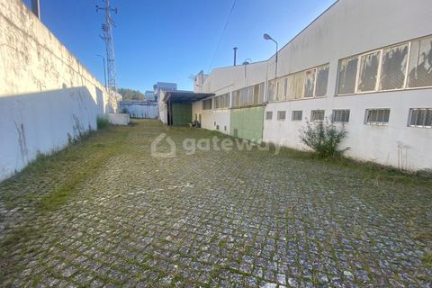 L'establiment comercial a Trofa, Porto, Trofa - € 15.000/mes | Ref: MAG_82 - foto 17