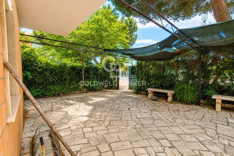 Villa i Tarquinia, Viterbo, Tarquinia - € 199.000 | Ref: CBI019-2184-29114 - foto 4