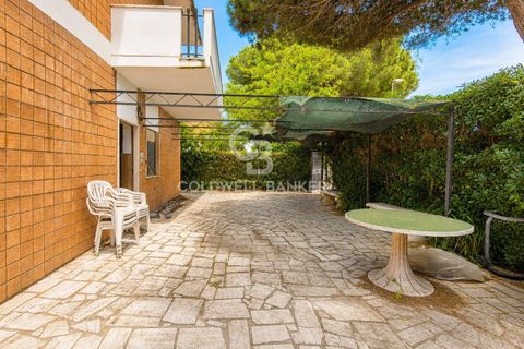 Villa i Tarquinia, Viterbo, Tarquinia - € 199.000 | Ref: CBI019-2184-29114 - foto 5