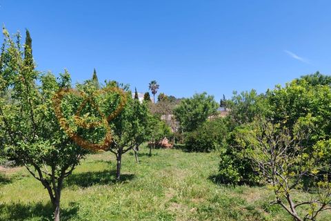 Villa i Tunes, Faro, Tunes - € 725.000 | Ref: 4492 - foto 28