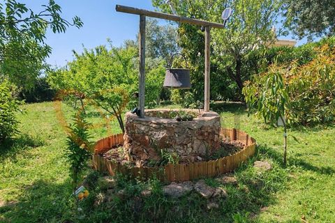 Villa i Tunes, Faro, Tunes - € 725.000 | Ref: 4492 - foto 29