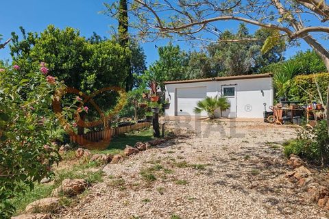 Villa i Tunes, Faro, Tunes - € 725.000 | Ref: 4492 - foto 30