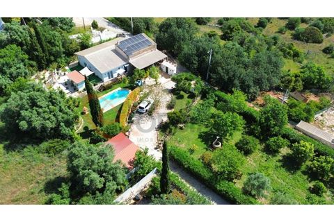 Villa i Tunes, Faro, Tunes - € 725.000 | Ref: 4492 - foto 33