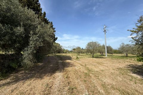 Villa a Modica, Ragusa, Modica - € 150.000 | Ref: L 2193 - foto 26