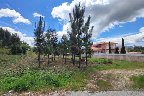 Helårsgrund i Gandra e Taiao, Viana do Castelo, Gandra e Taiao - € 35.000 | Ref: UNU-F1-08-28 - foto 2